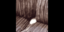 Random Cats app preview