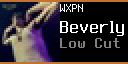 WXPN Now Playing app preview